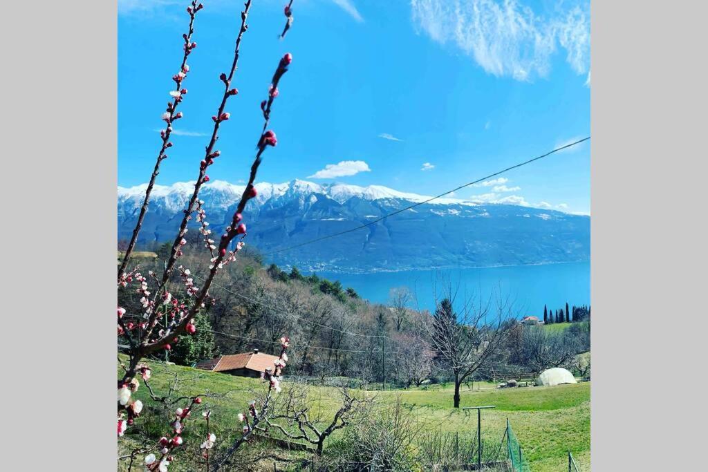Villatullia Ferienhaus Mit Seesicht Gardasee Tignale Extérieur photo